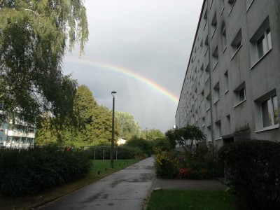 20190922_185249000_iOS