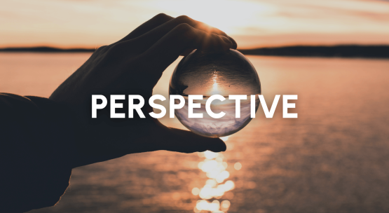 News Stories (7).png