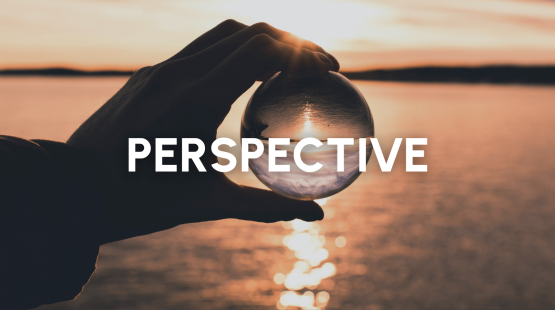 News Stories (7).png