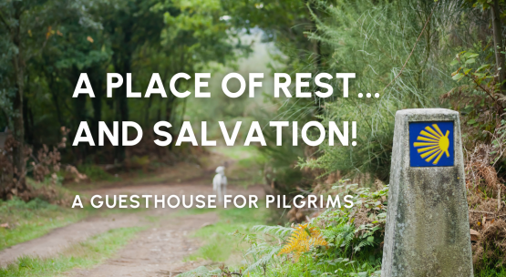 News Stories (1).png