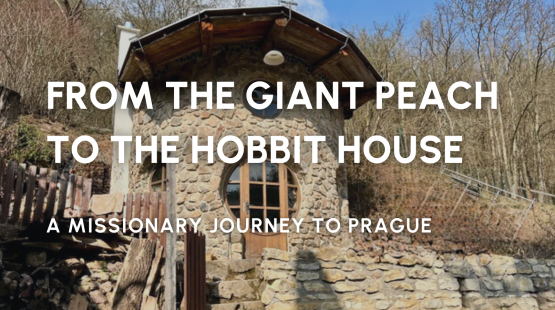 News Stories_20250627_161532_0000.png