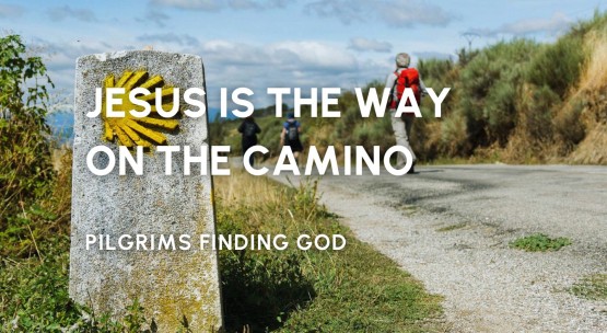 News Stories (4).jpg