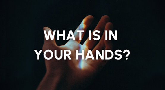 News Stories (13).png