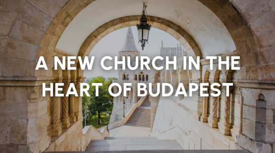 News Stories (4).png