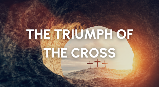 News Stories (8).png