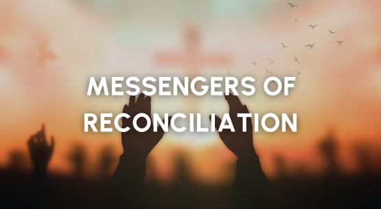 News Stories (5).png