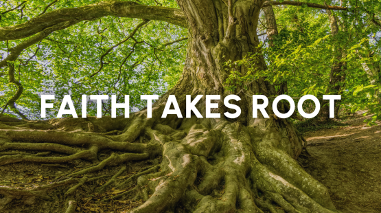 News Stories (12).png