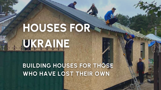 News Stories (3).png