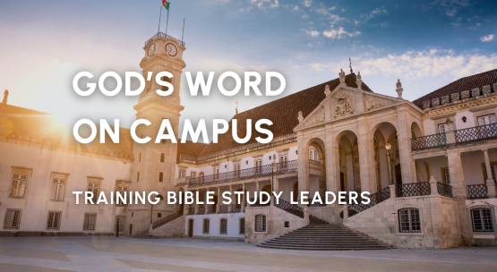 News Stories (6).png